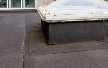 disadvantages of Holmisdale flat roofs