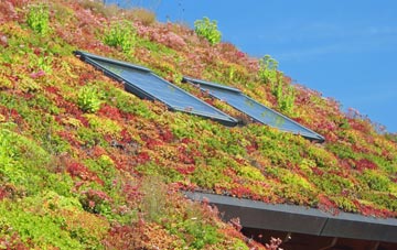 Holmisdale living roof systems