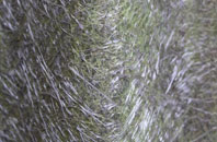 Holmisdale fibreglass roof work