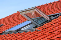 Holmisdale roof window