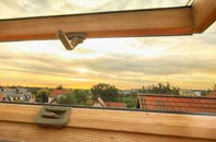 rated Holmisdale roof window companies
