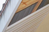 rated Holmisdale soffit repair companies